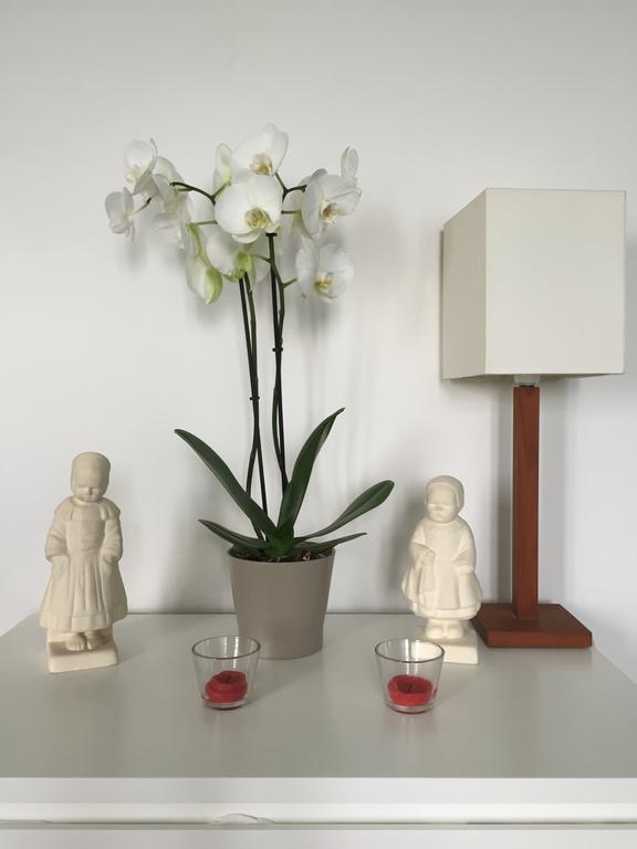 Appartement Design I - Port Du Rosmeur - ドゥアルヌネ エクステリア 写真